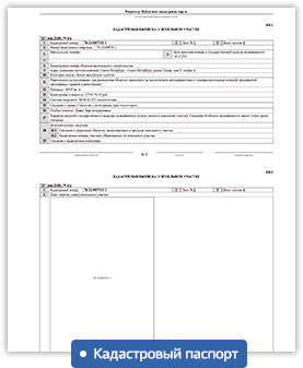 Пример кадастрового паспорта